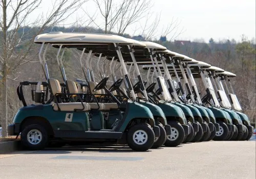 Electric Buggies Electric Buggies